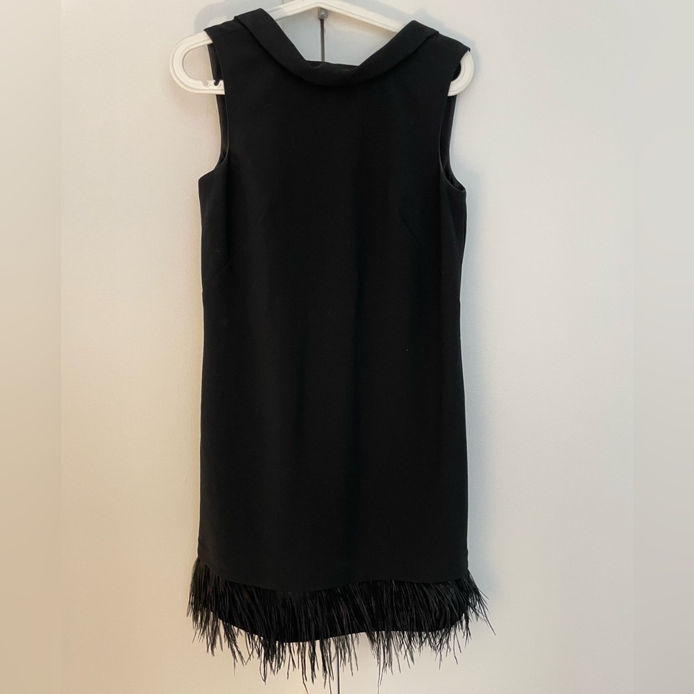 Ann Taylor Feather Hem Shift Dress